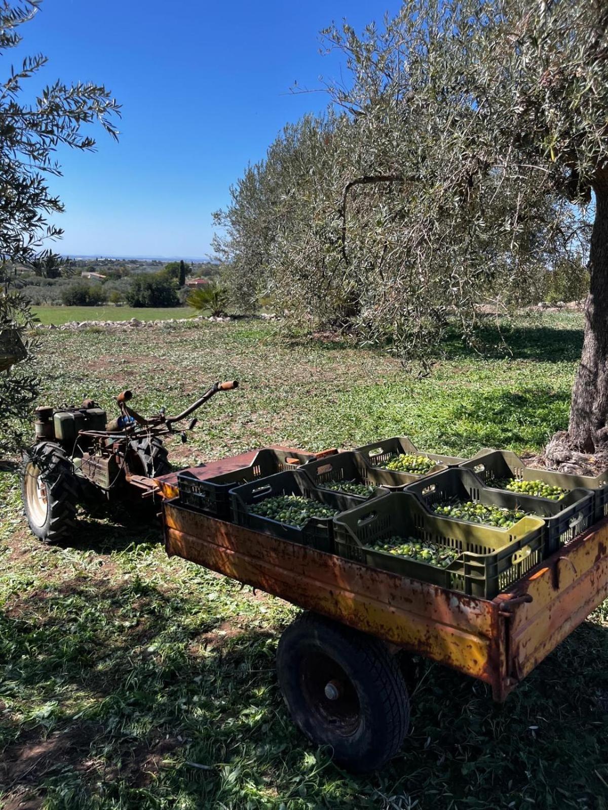 La Bella Vita Agriturismo Chiaramonte Gulfi Zewnętrze zdjęcie